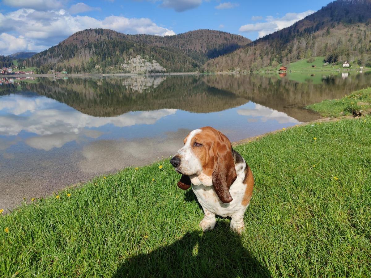 Chata Natasa Dedinky Bagian luar foto